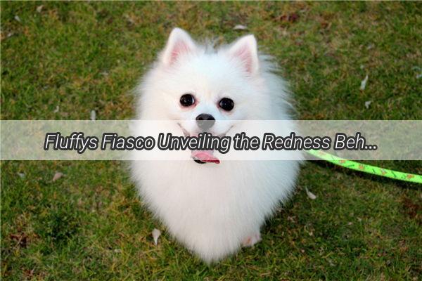 Fluffys Fiasco Unveiling the Redness Behind Your Dogs Hair Loss Crisis